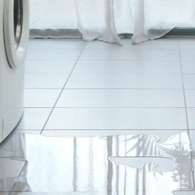 Appliance Leak Cleanup in Auburn, IN