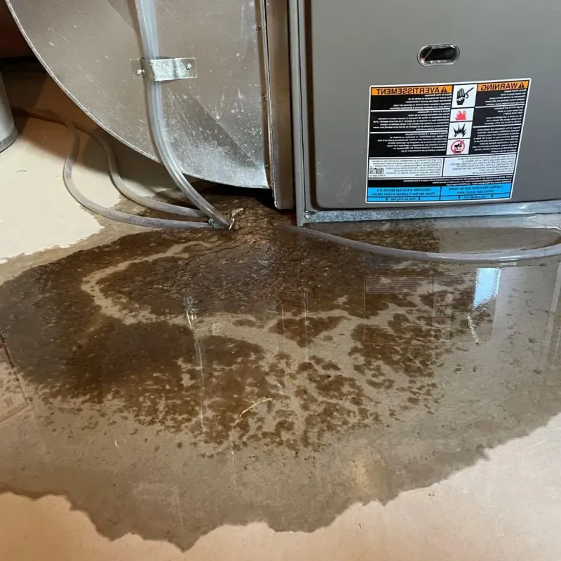 Pipe Burst and Leak Restoration in Auburn, IN